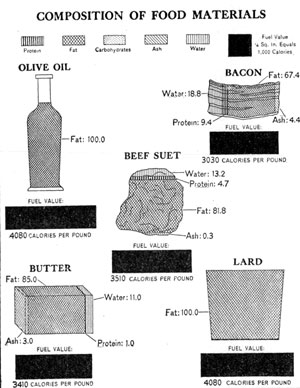[Illustration: Composition of food materials]
